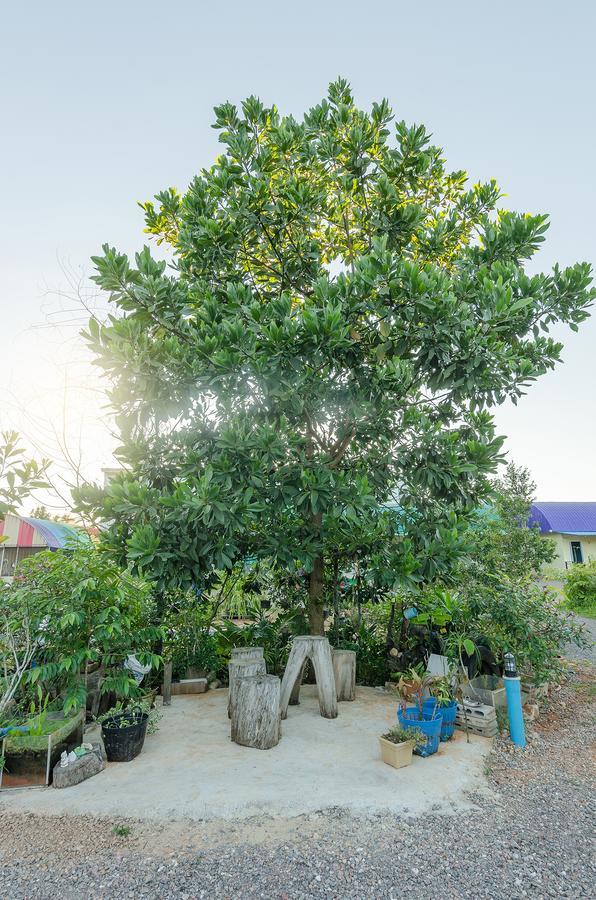 Ariya Garden Home チュンポーン エクステリア 写真